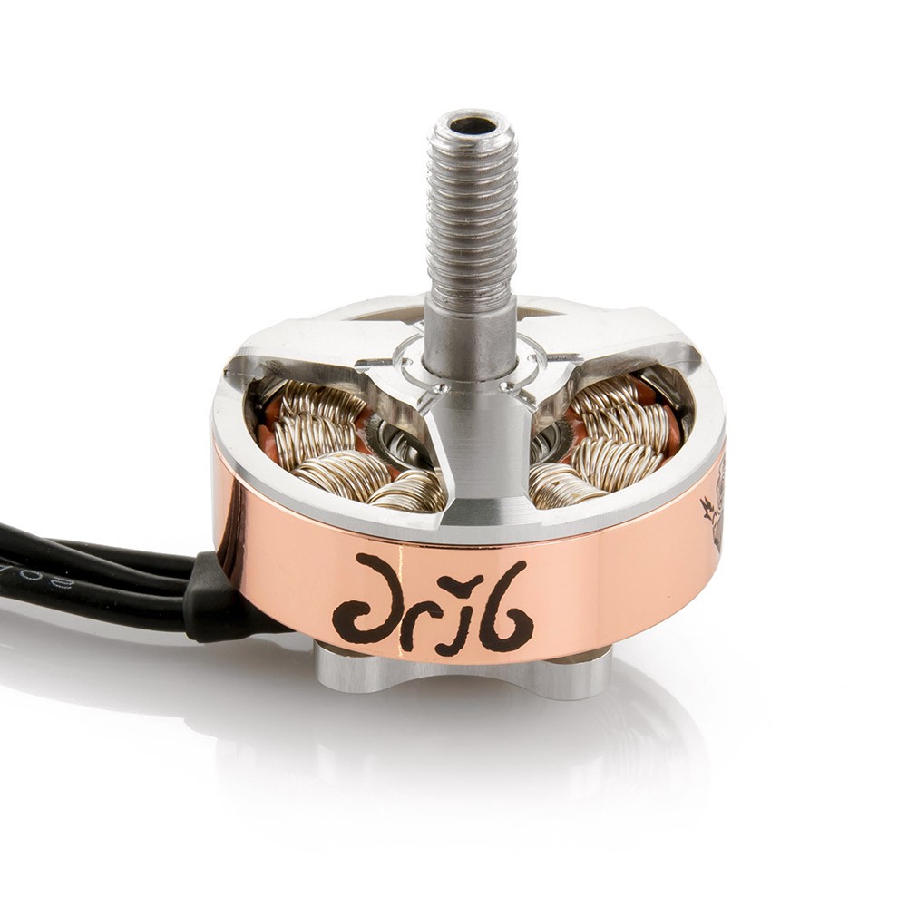 Rotor Riot Hypetrain - Le Drib 2306 2650kv Motor | GetFPV Learn